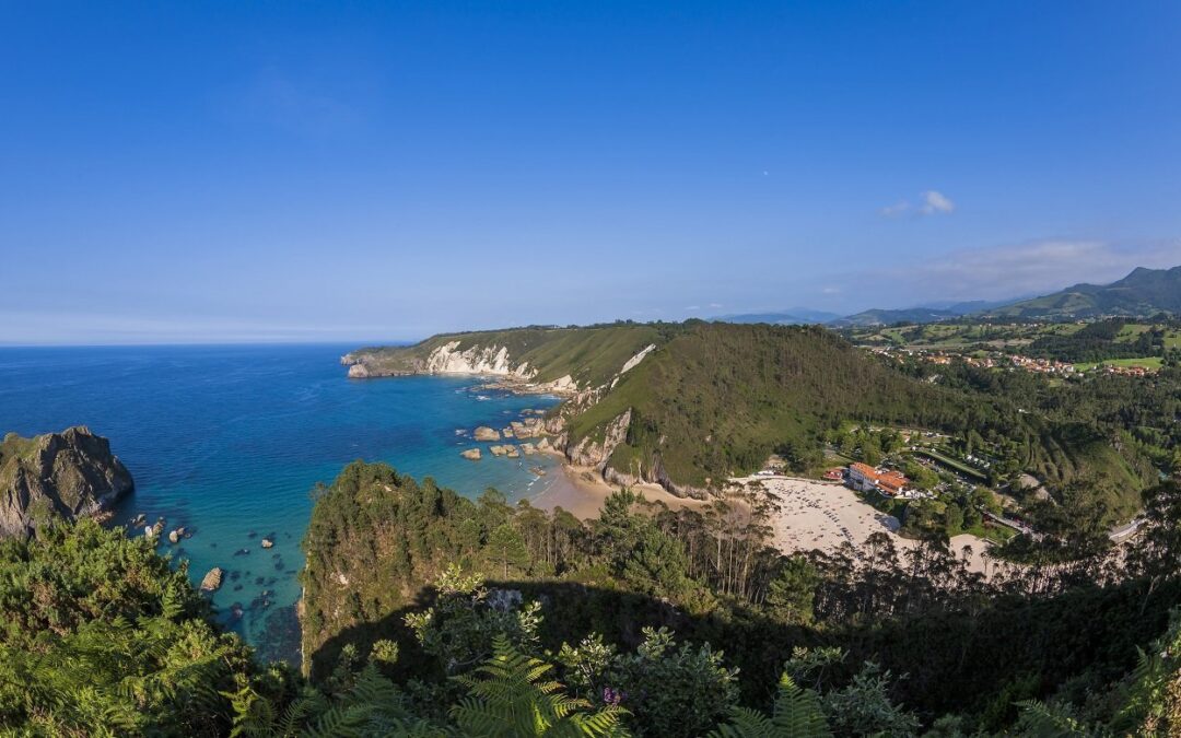 X JORNADAS OLFATIVAS 2026